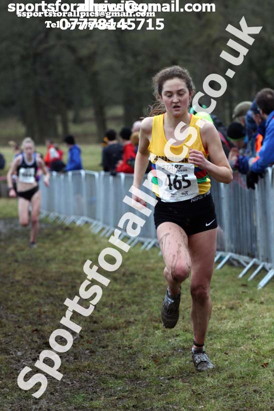 Senior women, 2018 Northern Cross Country Champs., Harewood House, Leeds. Photo: David T. Hewitson/Sports for All Pics